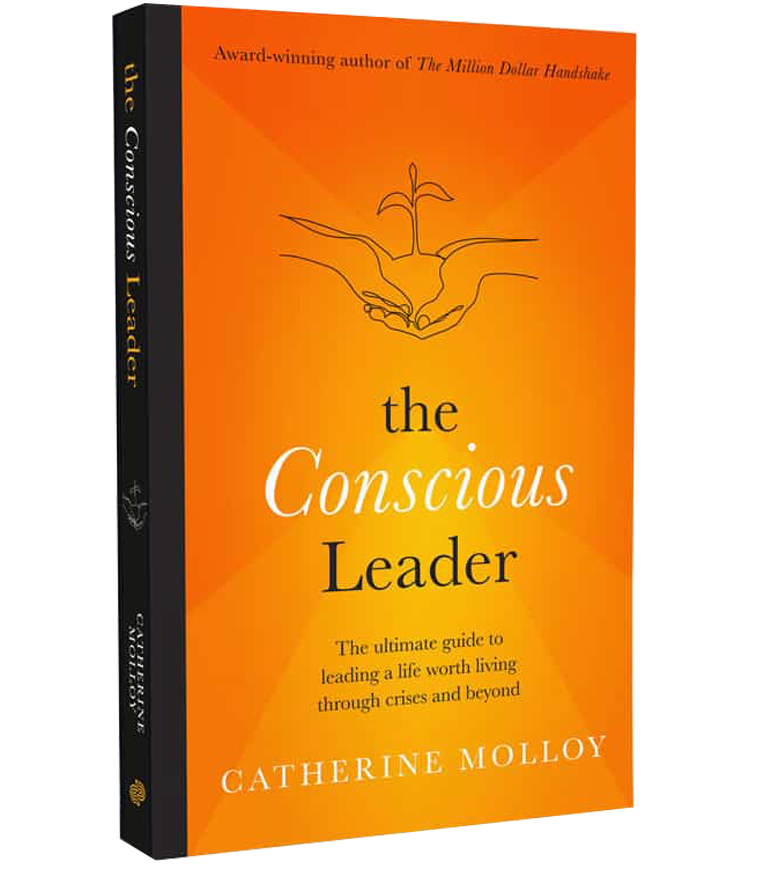The Conscious Leader