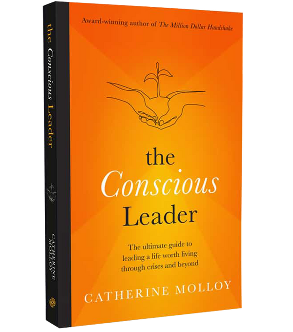 The Conscious Leader